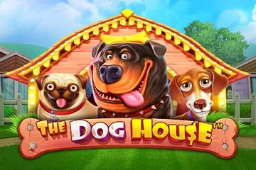 The Dog House slot by Pragmatic Play at Mr Ben casino